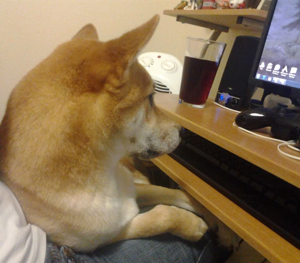 开云sport-内外线双雄的统治夜，深圳横扫黄蜂，武切维奇在德国加冕之战封神