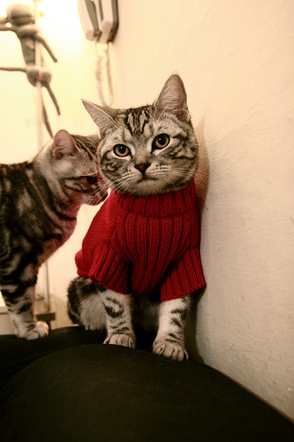 唯一性的证明,从NBA到德甲,统治力的展现