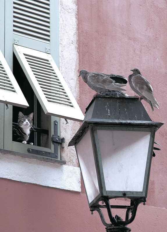 赛道棋局,那个唯一看透三步之后的人