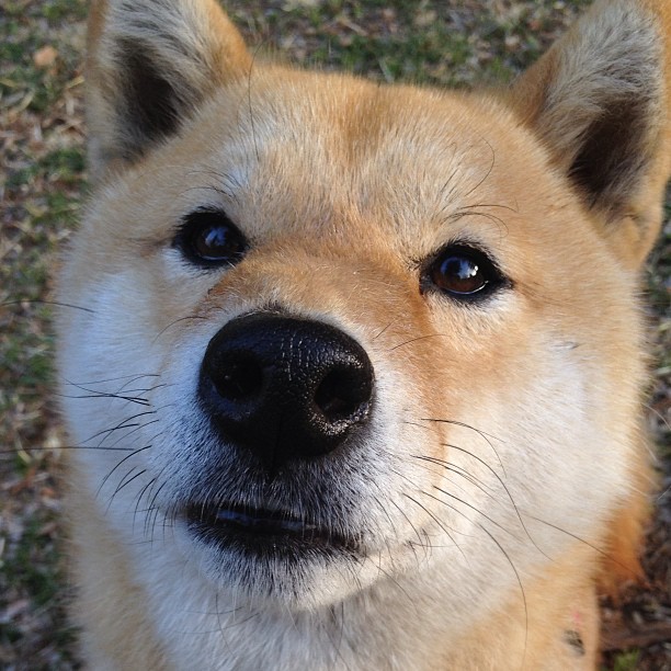 突尼斯对阵摩洛哥,门迪在非洲杯焦点战中证明自己的价值