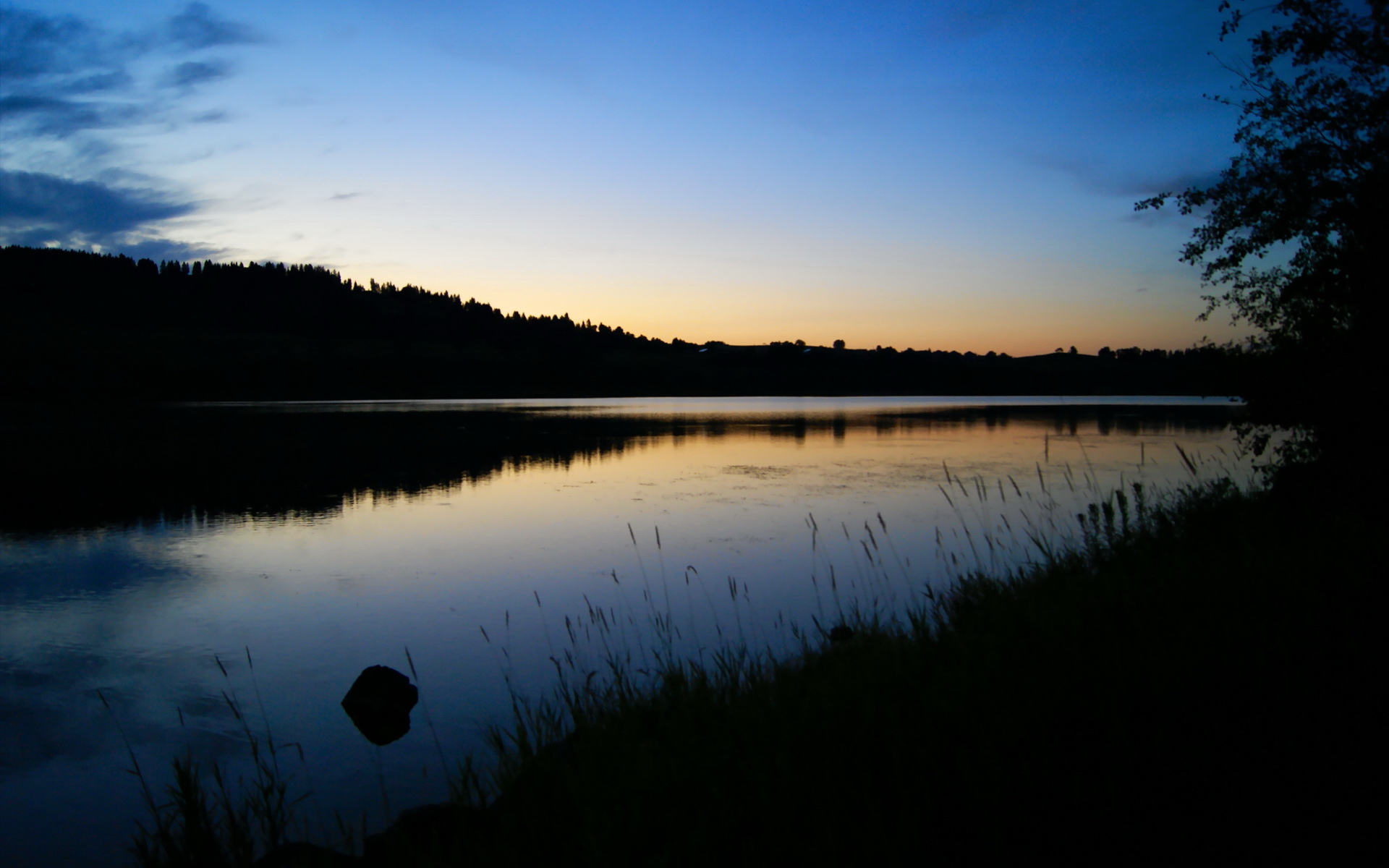 一场改写足球世界版图的胜利,委内瑞拉压哨绝杀如何颠覆世界排名争夺战逻辑
