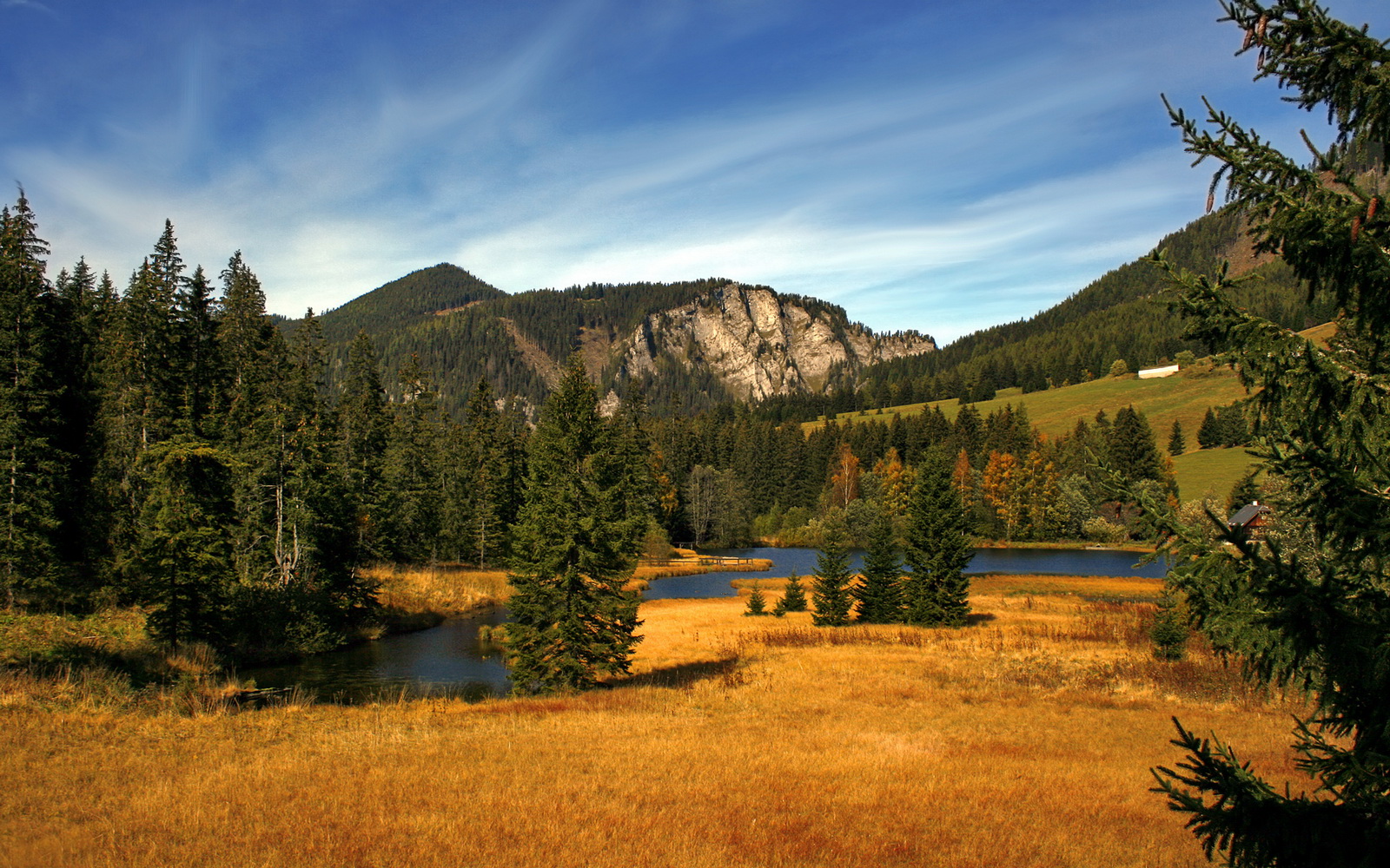 开云体育APP下载-自我救赎的辉煌，拉亚引领里昂硬仗击败加纳
