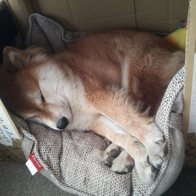 爵士魔术肉搏战霍勒迪导演绝命逆转！他用21分告诉你何为硬核价值