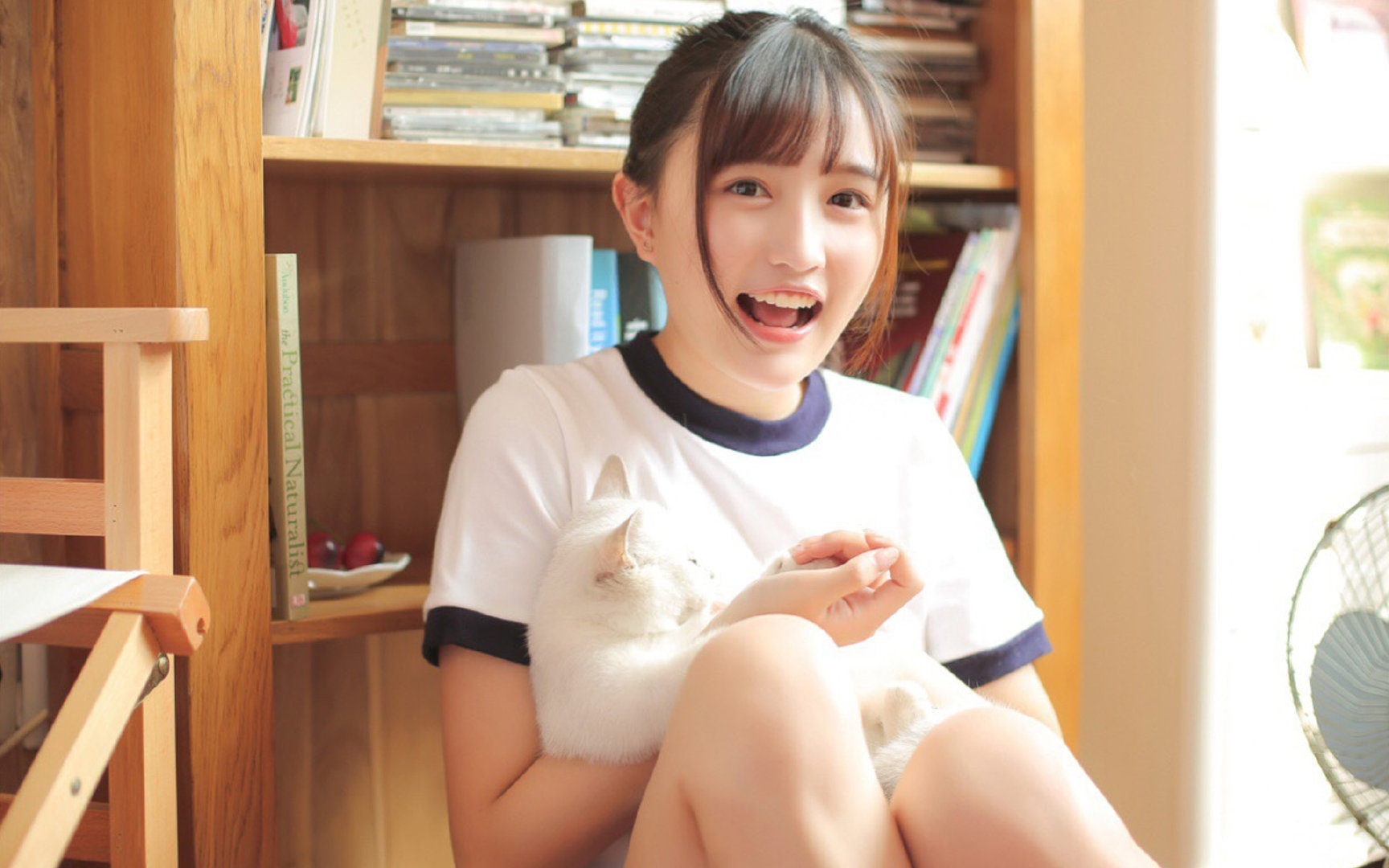 唯一性的胜利,阿尔瓦雷斯冠军级表现如何击碎苏格兰的坚韧