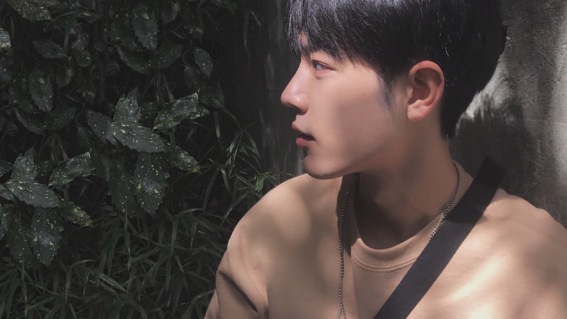 开云体育入口-塔图姆轰47分撕裂上海防线！开拓者第三节暴走终结悬念