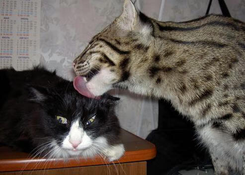 开云体育app-爆冷！哥伦比亚力克中国，斯通斯个人能力闪耀全场