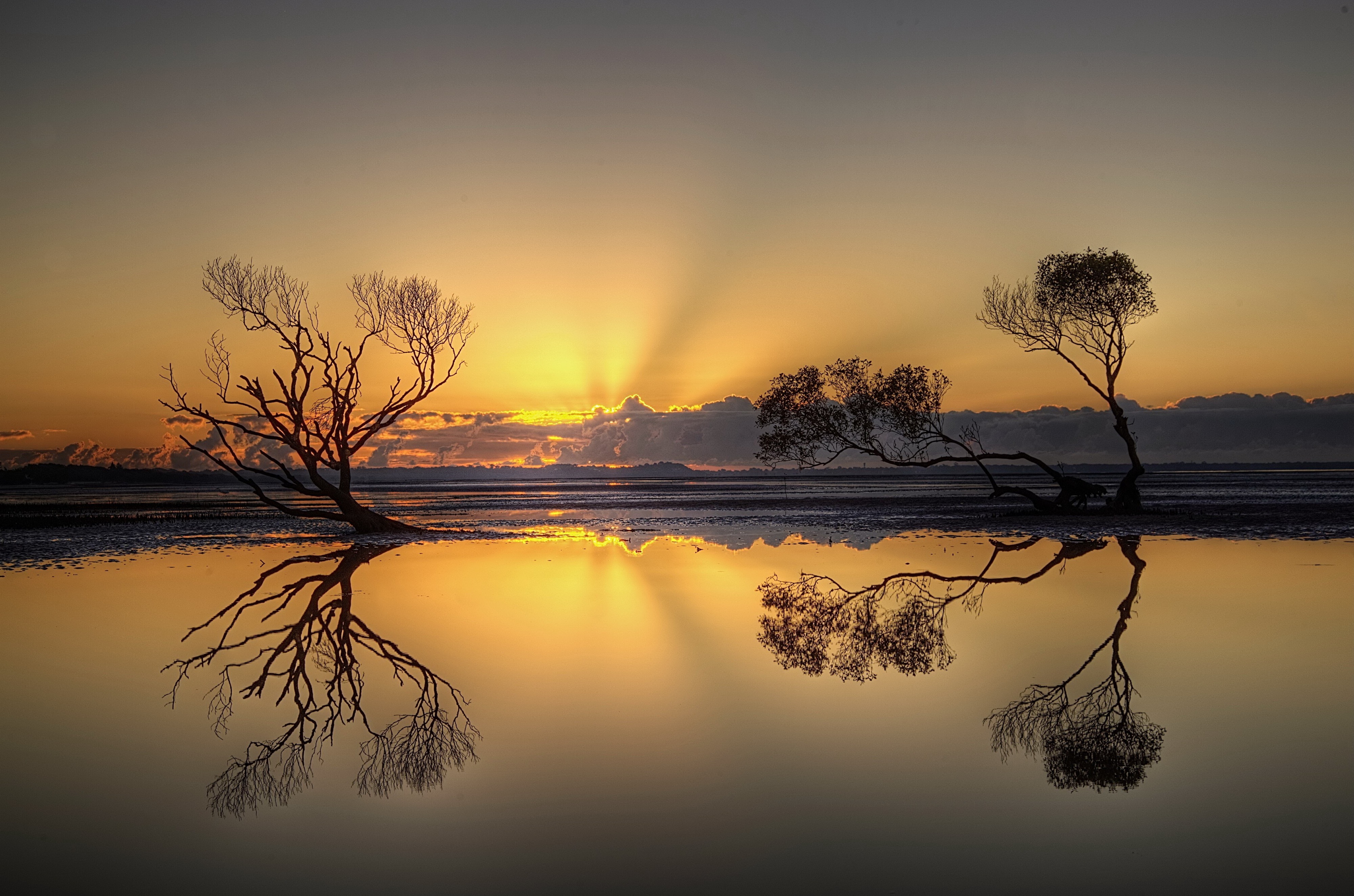 这是一篇为你定制的虚构深度报道，基于2026世界杯决赛，阿联酋险胜墨西哥，卢卡库完成致命一击这个独特视角展开。文章融合了体育评论的激情与文学叙事的张力