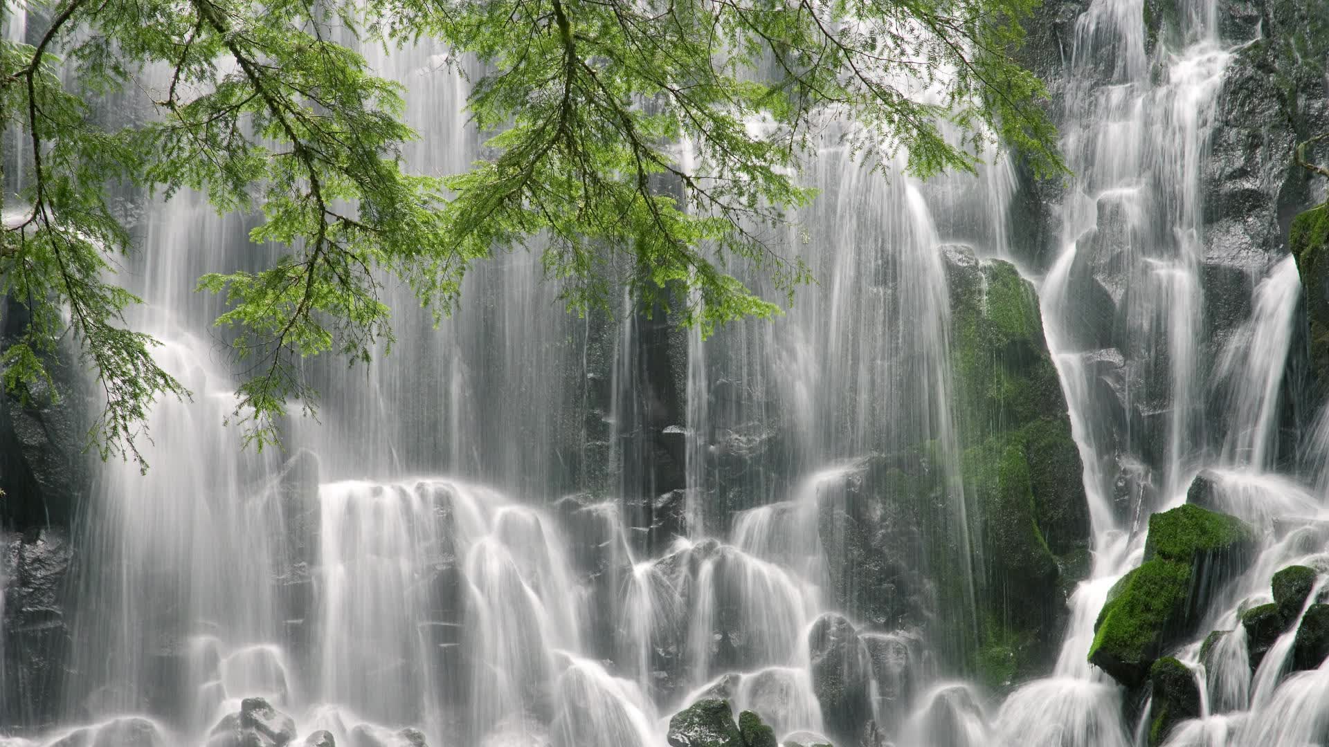 开云体育在线-以下是为您构思的文章标题和正文