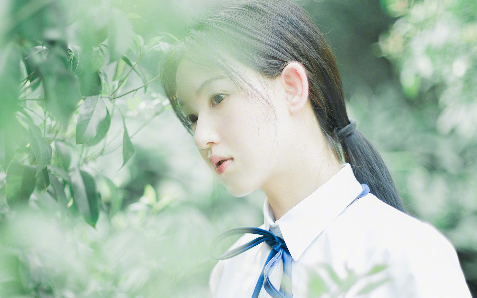 豪门的黄昏与黎明,2026世界杯,范戴克用一场古典胜利,为足球纪元画下句点